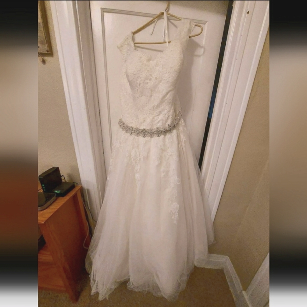Wedding Dress and Veil